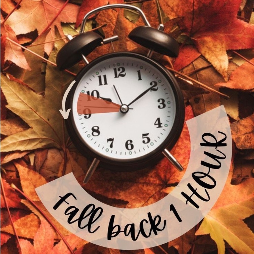 “FALL” back 🍁🍂🍁
